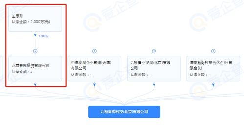 王思聰跨界布局，投資成立半導體制造公司引領技術新浪潮