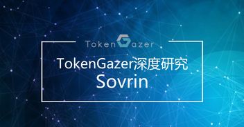 從TokenGazer深度研究看Sovrin 技術落地可期，但大規模推廣之路任重道遠